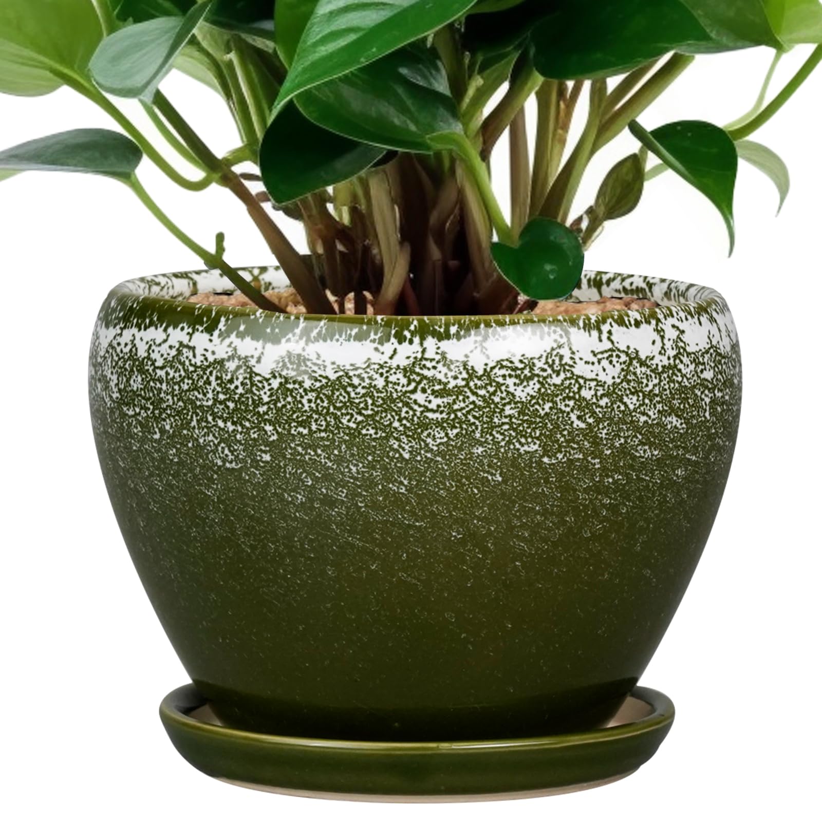 Amazon.com : Ceramicfor 6 Inch Plant Pot - Ceramic Planter Pot